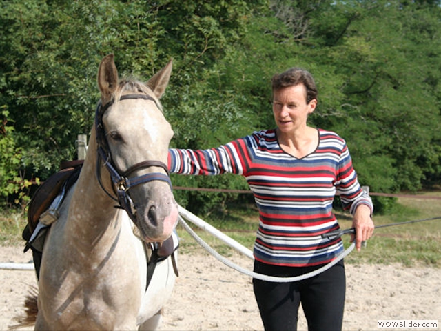 Sophie Michez, élevage de chevaux de sport