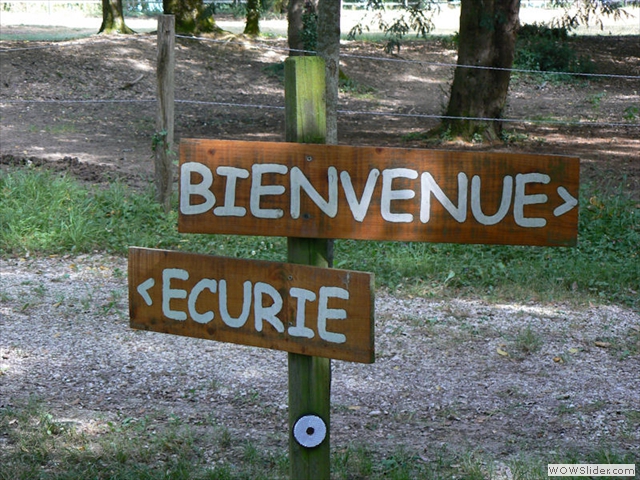 Bienvenue à l'écurie du Domaine de Bernou