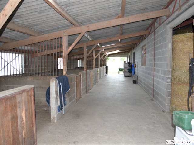 Box pour chevaux à louer