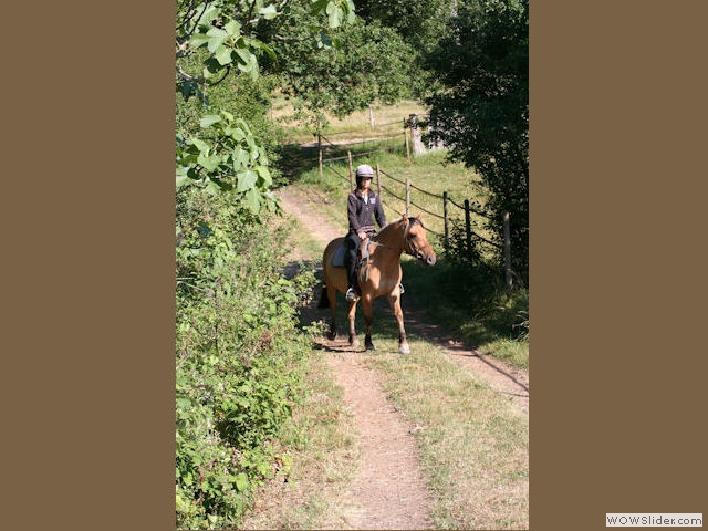 Ecurie du Domaine de Bernou, équitation de loisir