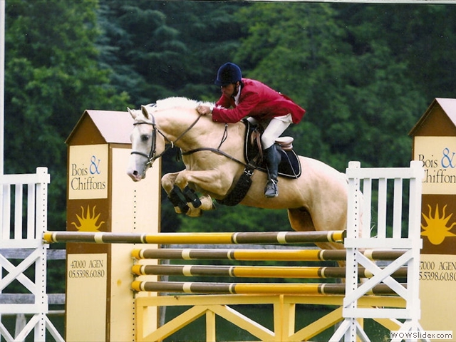 Concours équitation