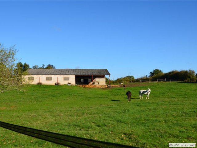 Pension pour chevaux, La Croix Blanche