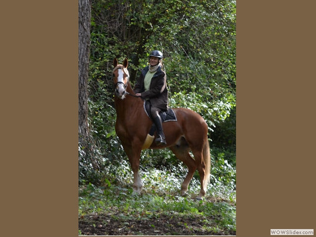 Sophie Michez, Sud-Ouest